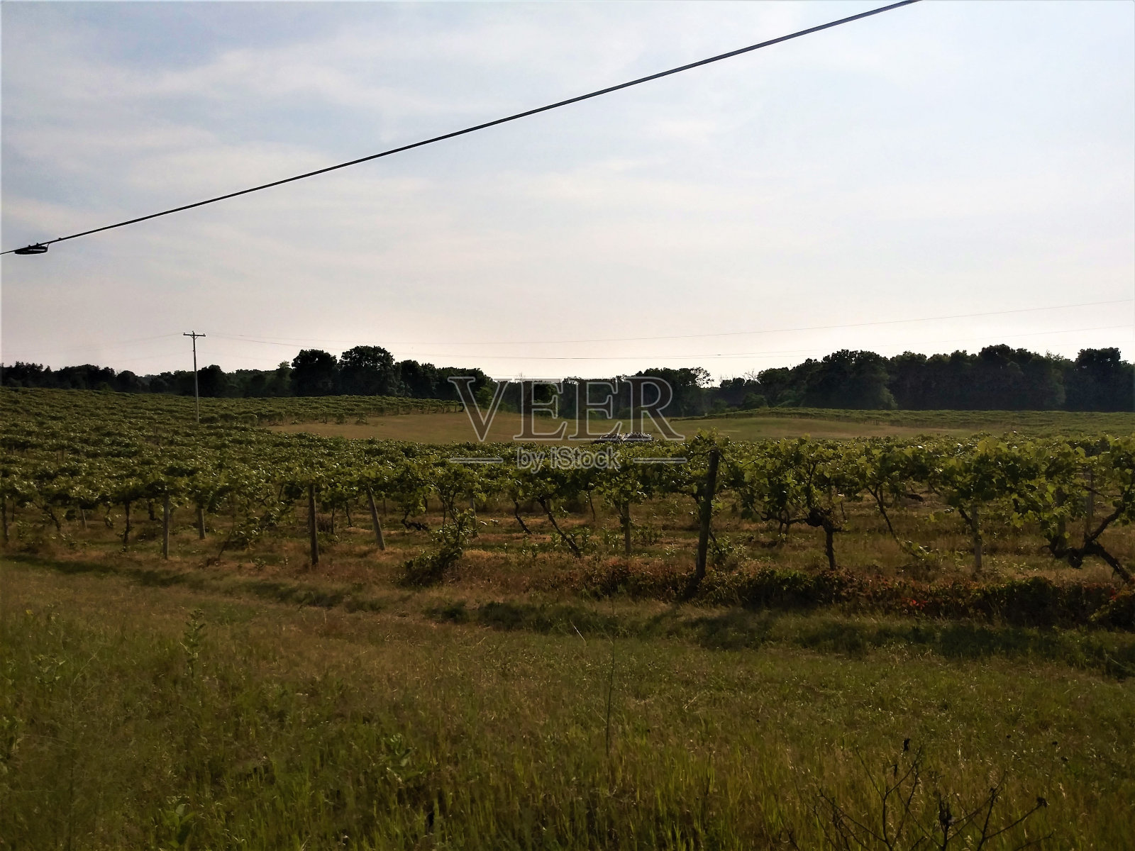 农场照片摄影图片