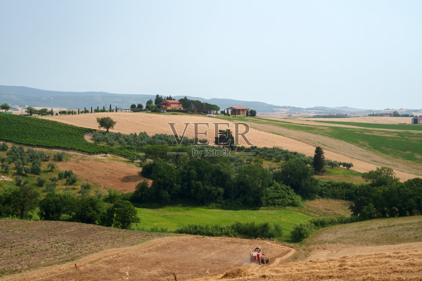 托斯卡纳奥恰诺皮萨诺丘陵上的乡村景观照片摄影图片
