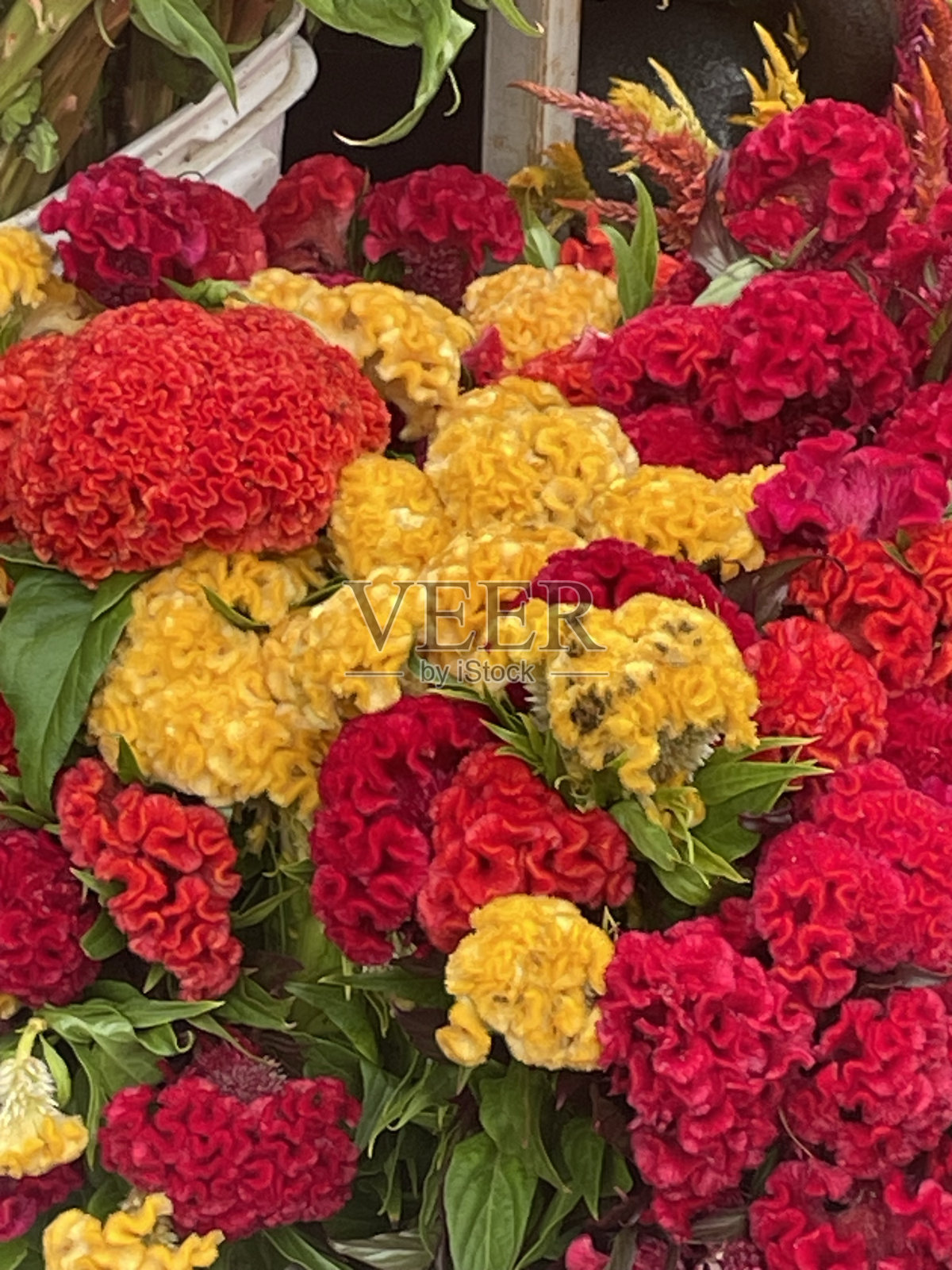 秋天的颜色照片摄影图片