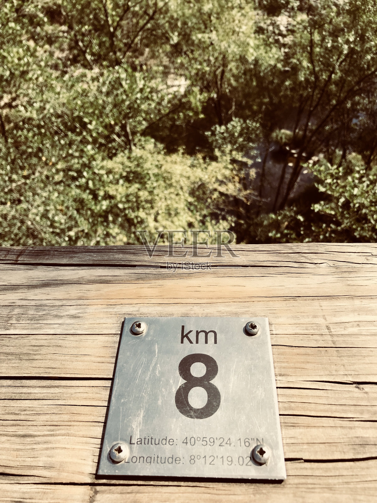 迷失在大自然中照片摄影图片