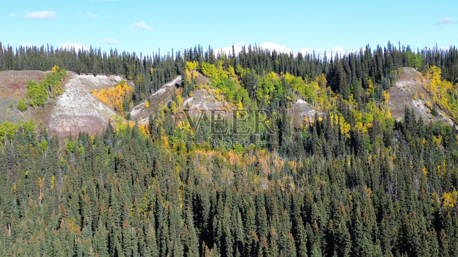 阿拉斯加内陆铜河沿岸的秋色照片摄影图片