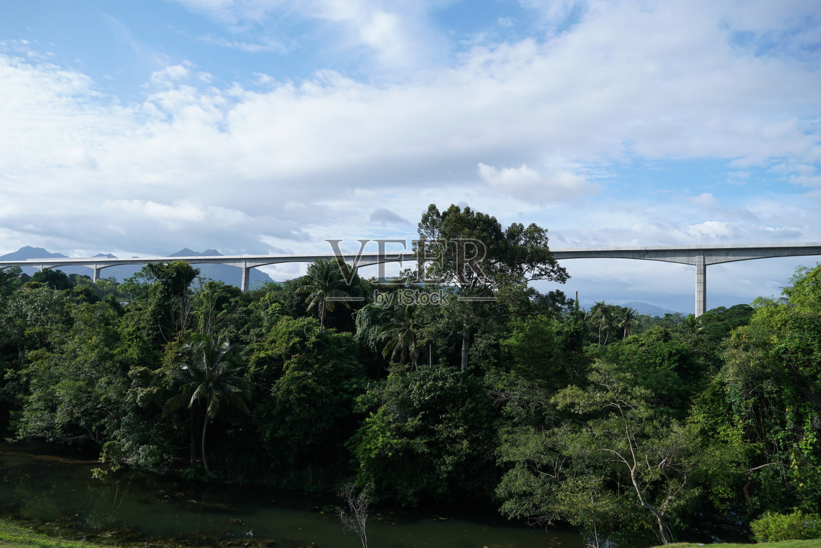 在美丽的大自然中间的空中铁路。交通运输创新和可持续生态系统。照片摄影图片