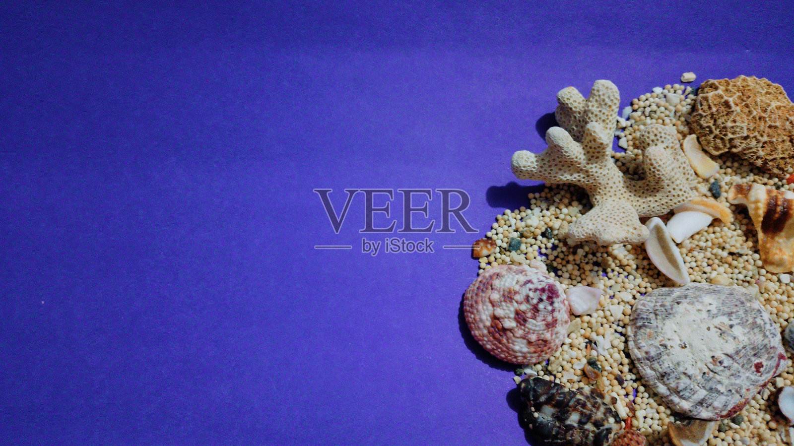 一堆沙滩上的沙子和大量的贝壳被隔离在紫色的背景上。照片摄影图片