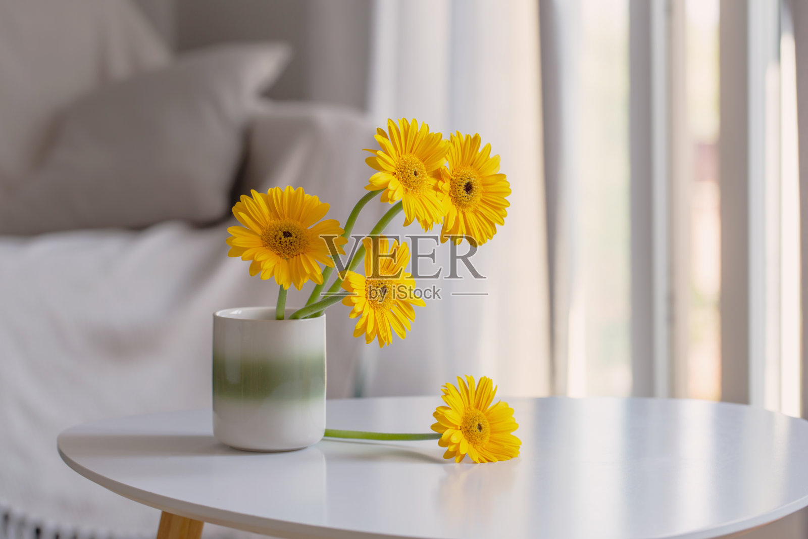 黄色非洲菊在陶瓷花瓶在明亮的客厅照片摄影图片