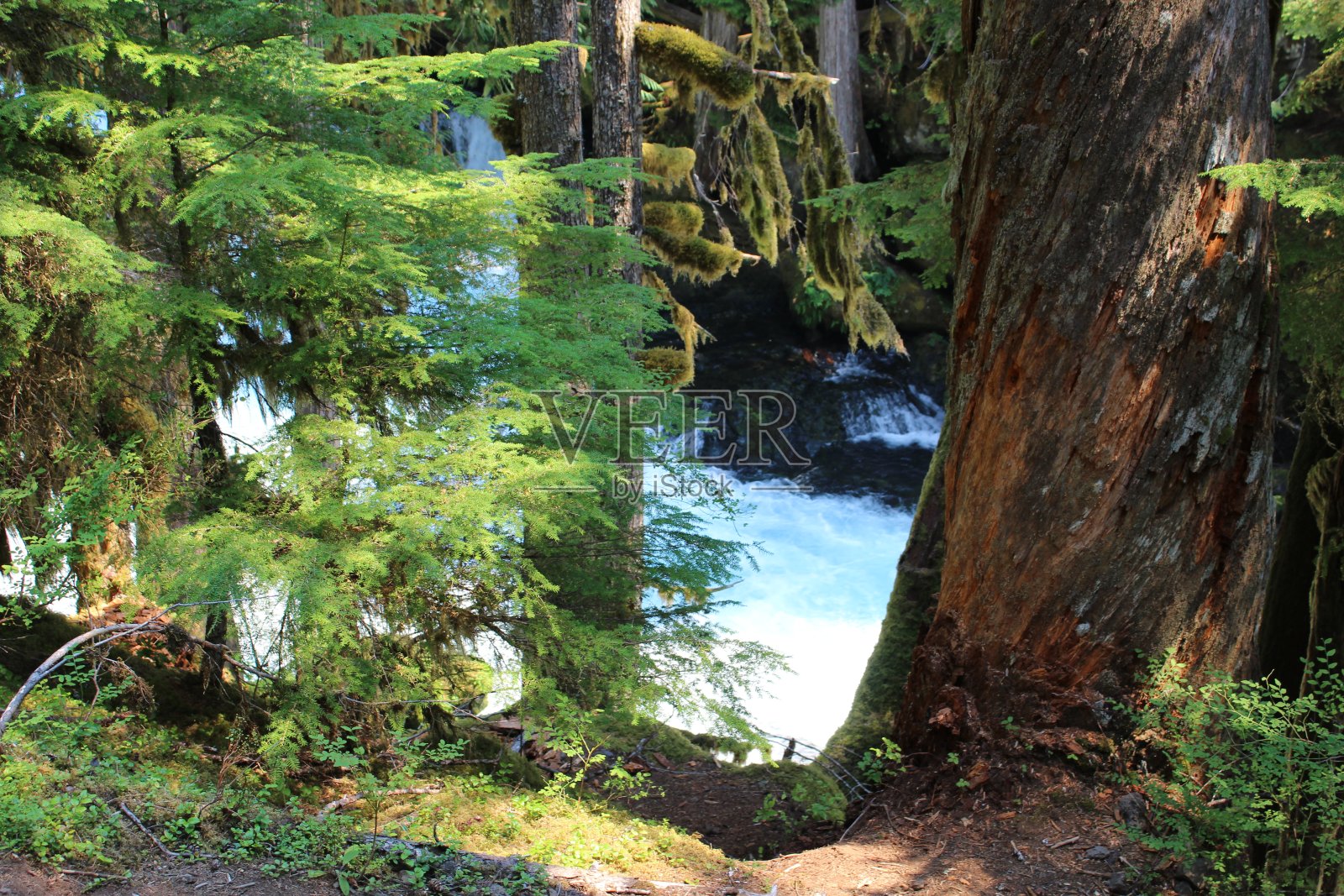 Sahalie瀑布照片摄影图片