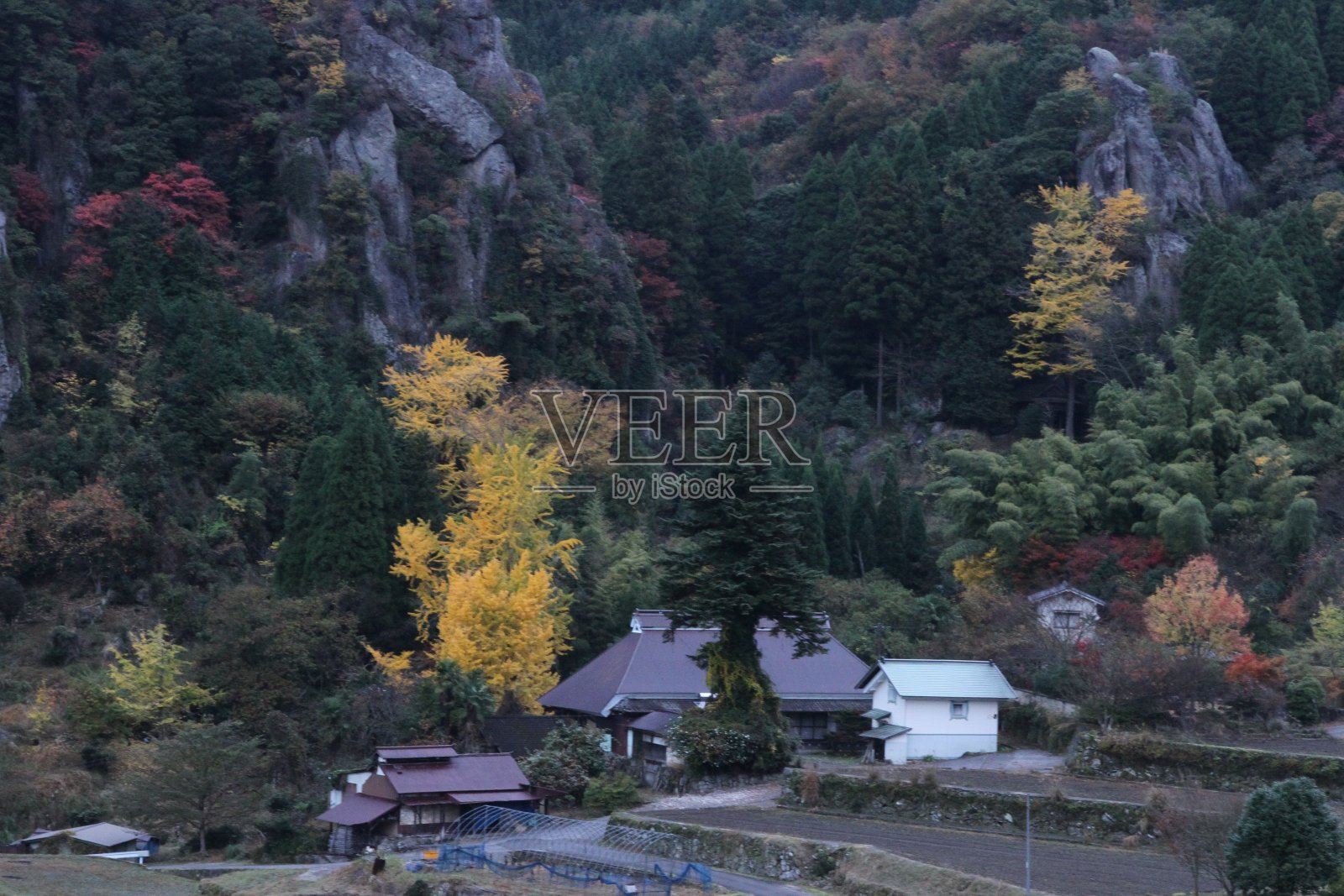 秋天的景色照片摄影图片