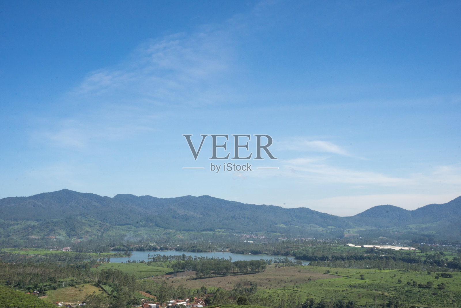 茶园的花蕾、树叶、湖泊和树木的景观，背景是山和清澈的蓝天照片摄影图片