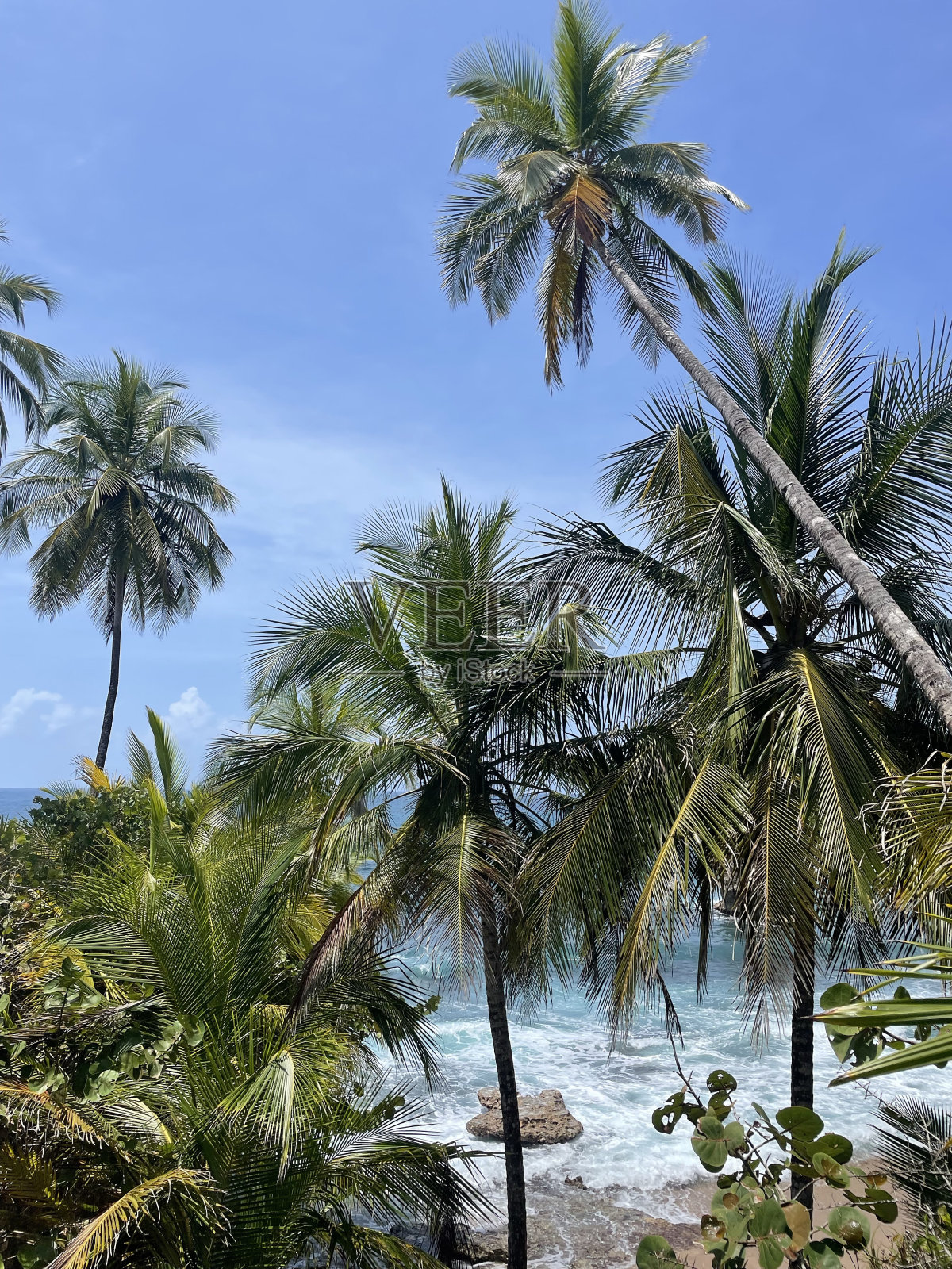 海滩照片摄影图片