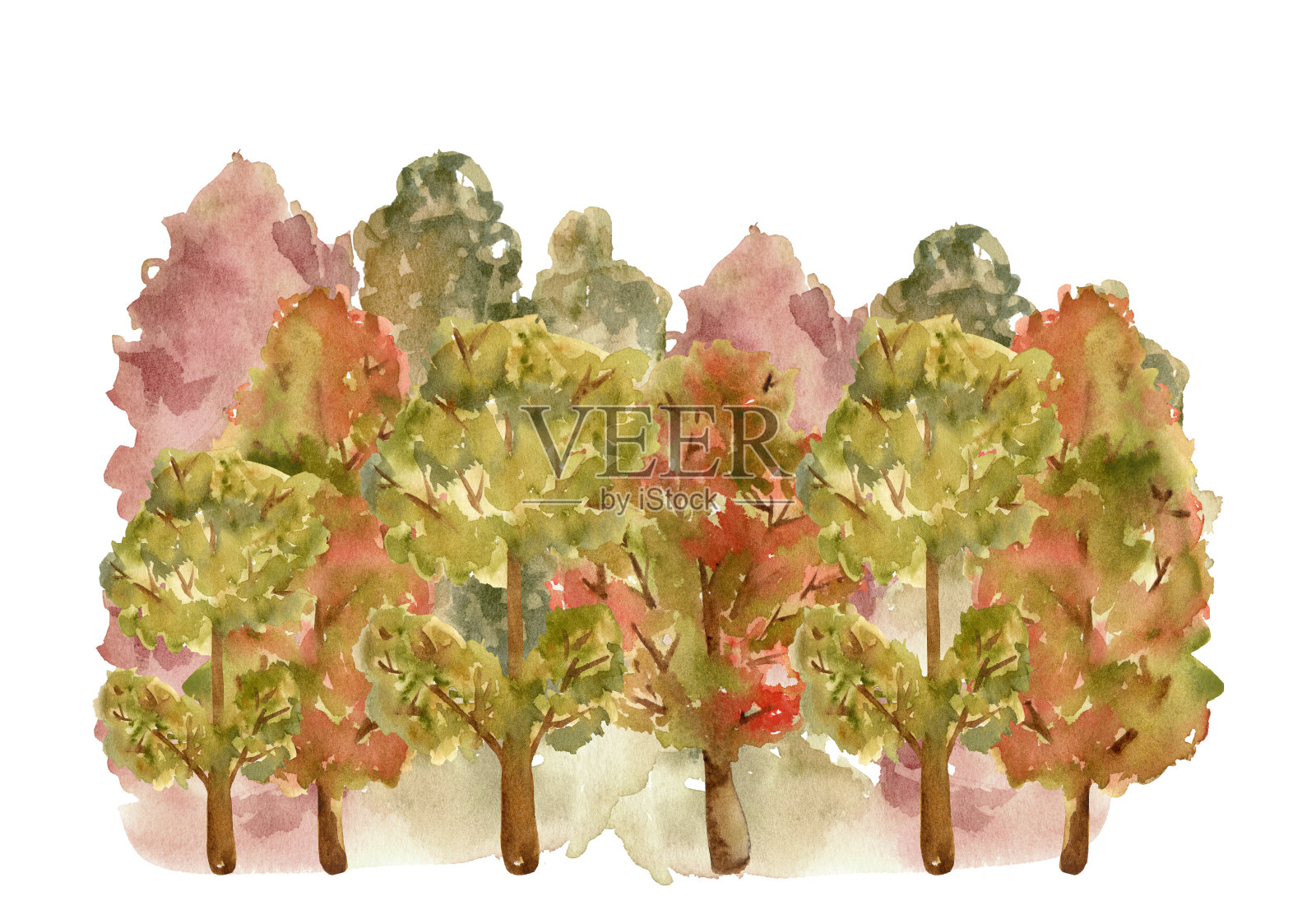 水彩森林树木景观。秋天的树有红色和黄色的叶子。林地的背景。插画图片素材