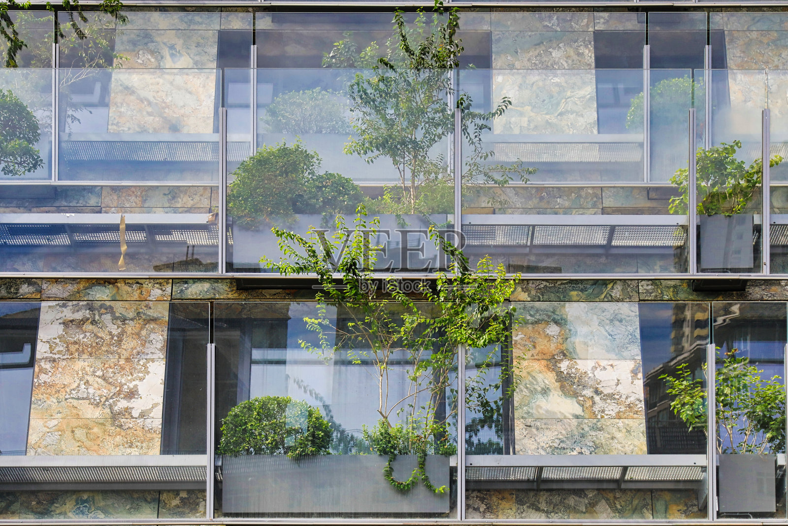 绿色植物装饰墙照片摄影图片