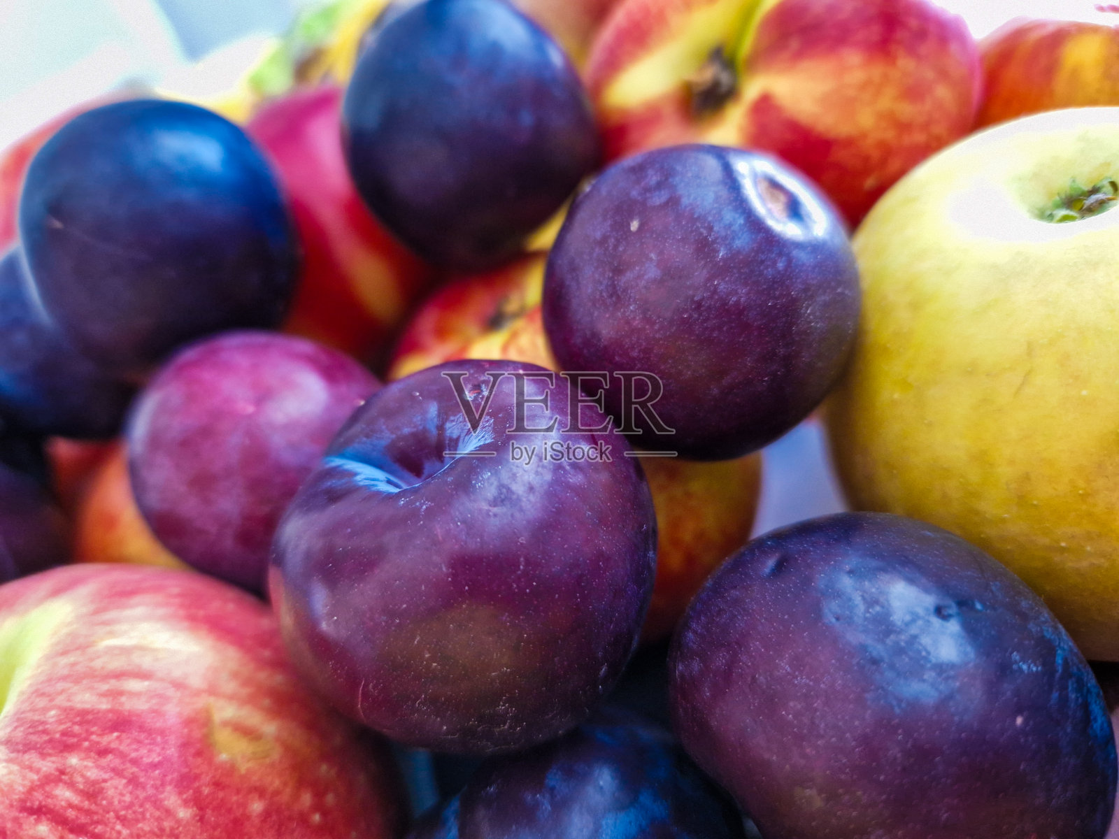 李子照片摄影图片