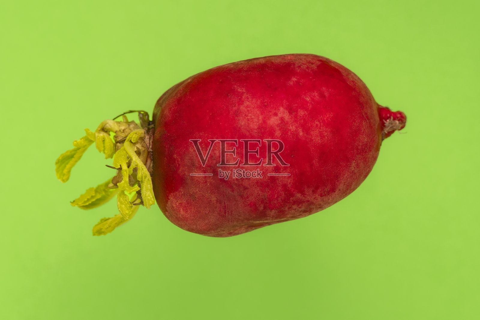 萝卜:萝卜照片摄影图片