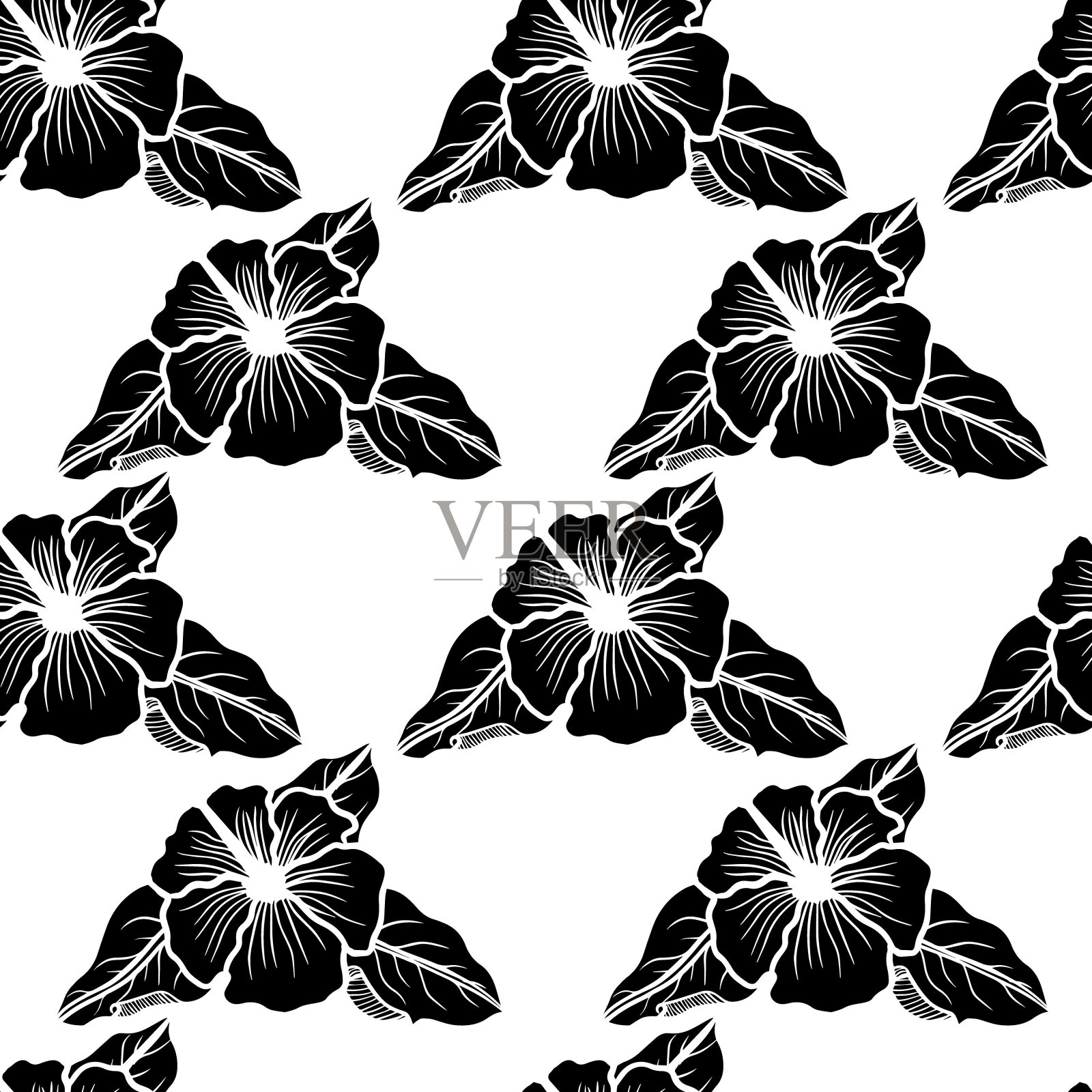 优雅的植物彩色花卉图案插画图片素材