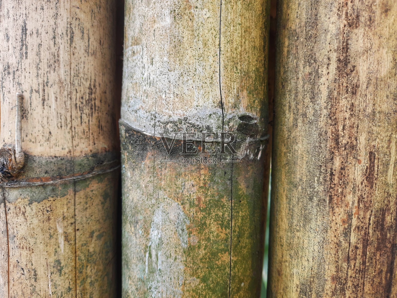 竹木纹理自然，花纹棕黄。特写树干植物的木质竹竿，墙栅栏复古无缝的背景。面竹全景作装饰照片摄影图片