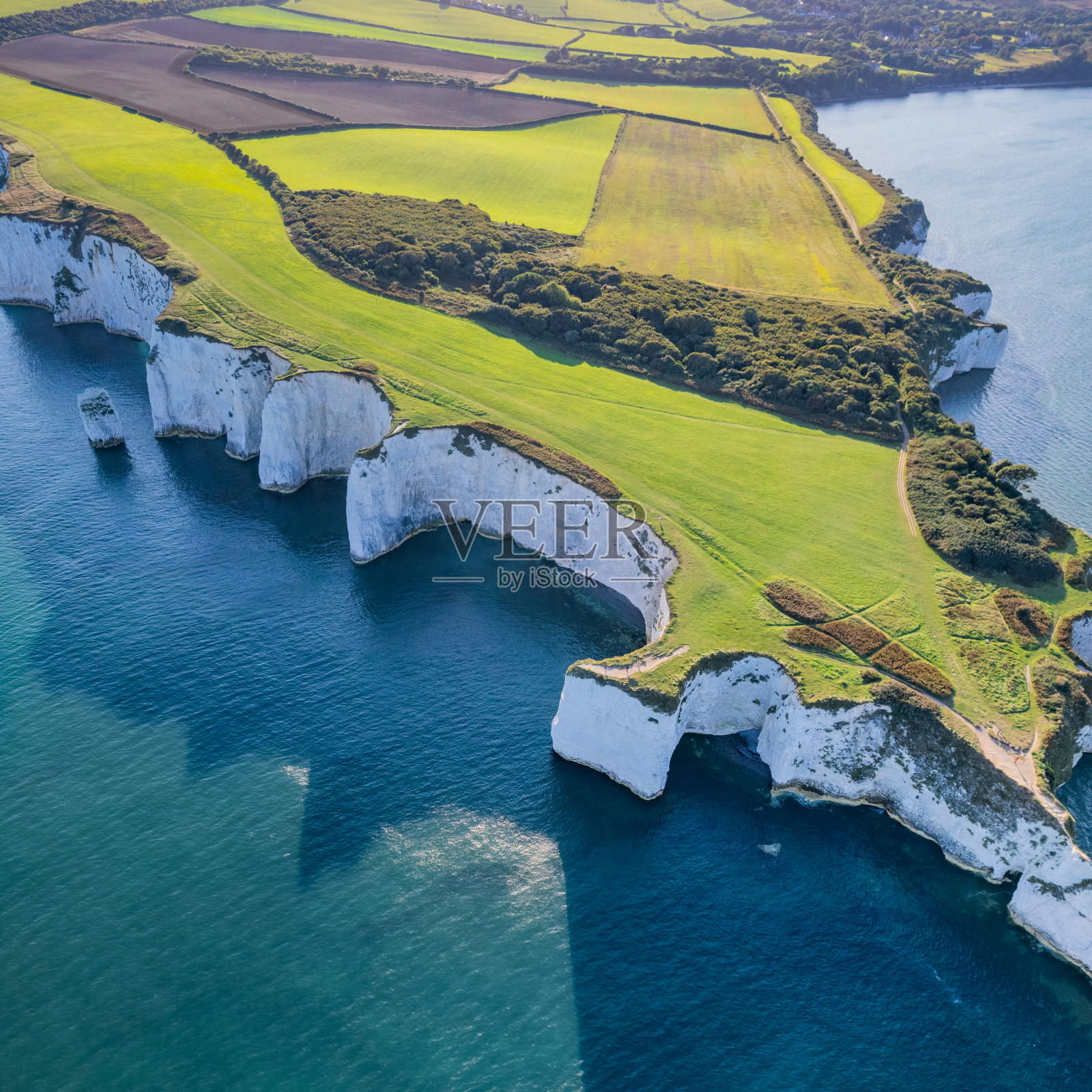令人惊叹的鸟瞰著名的老哈利岩，侏罗纪海岸最东端，联合国教科文组织世界遗产，英国照片摄影图片