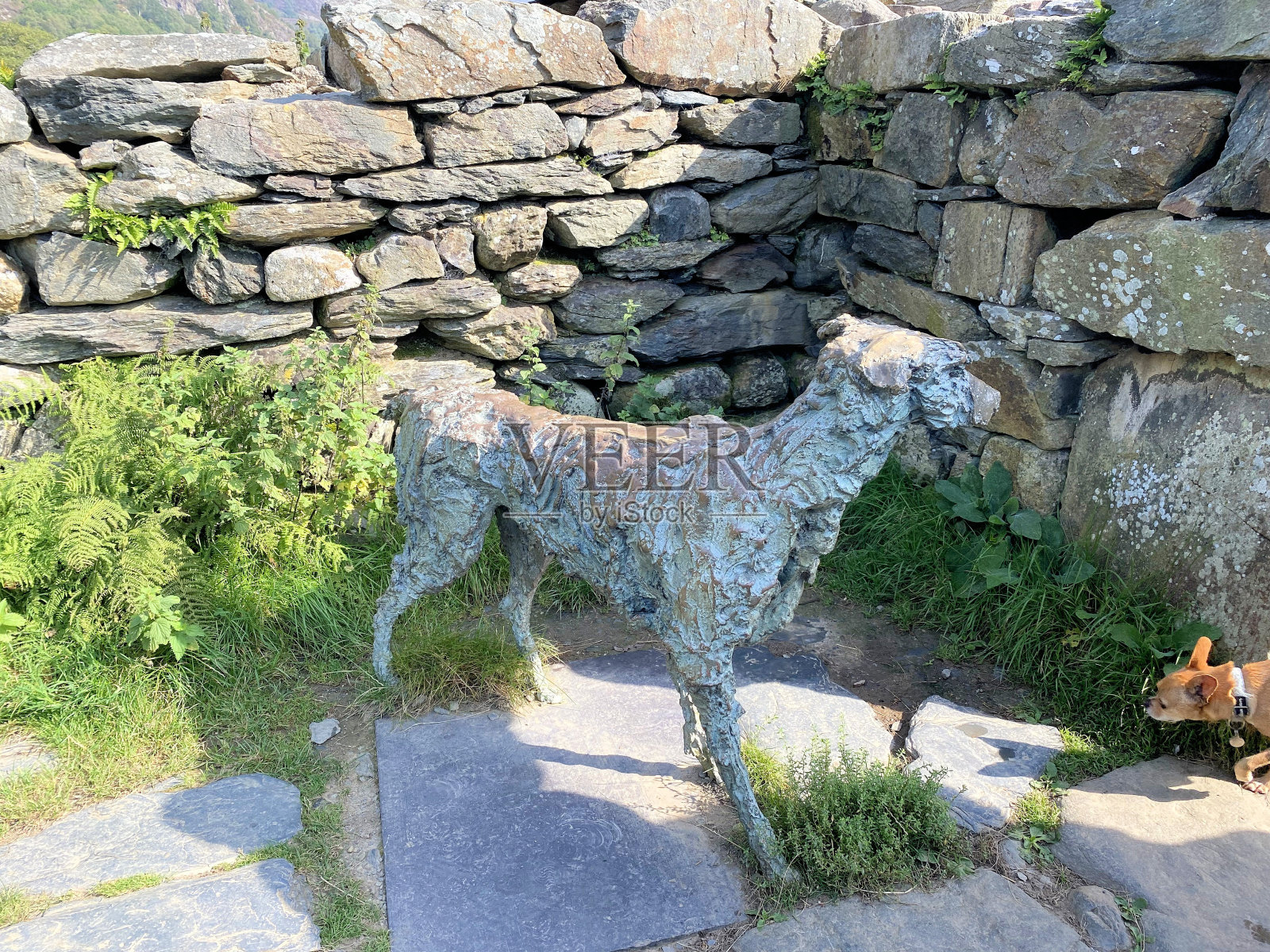 北威尔士乡村风光照片摄影图片