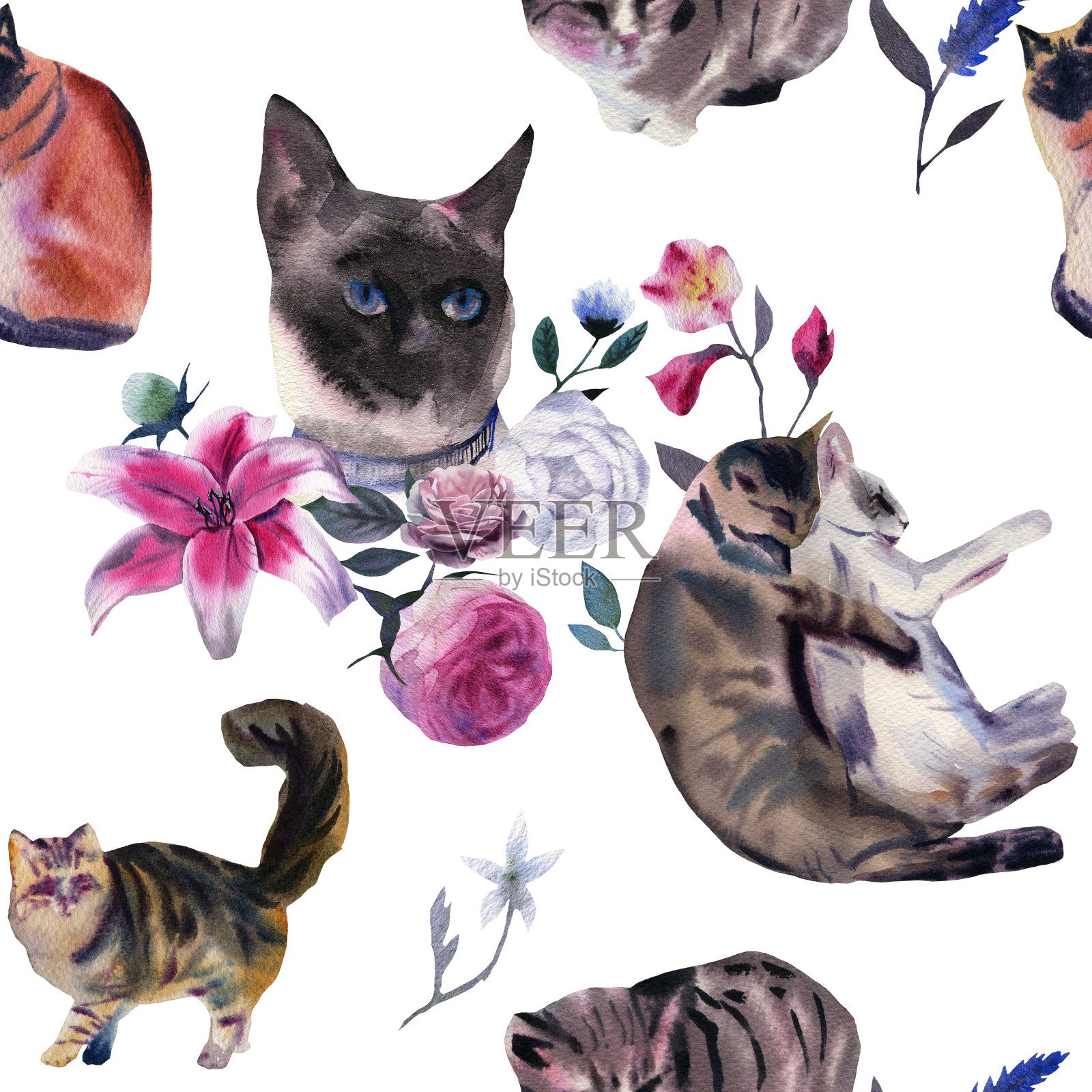 水彩猫水彩图案插画图片素材