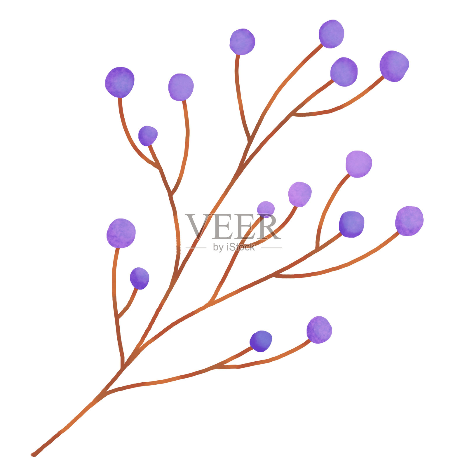 数字插画秋天的心情。秋季物品背景。森林干叶、浆果、装饰成分。插画图片素材