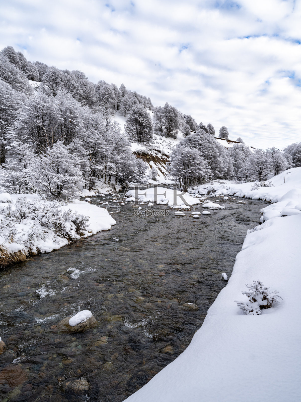 流经巴塔哥尼亚雪林的河流照片摄影图片
