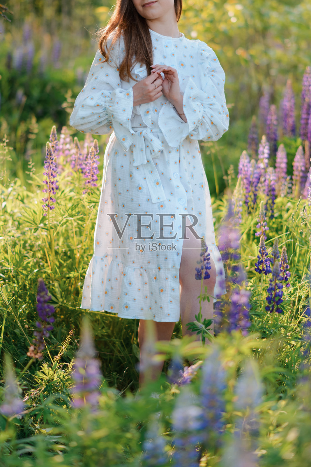 欣赏田野里的花朵照片摄影图片