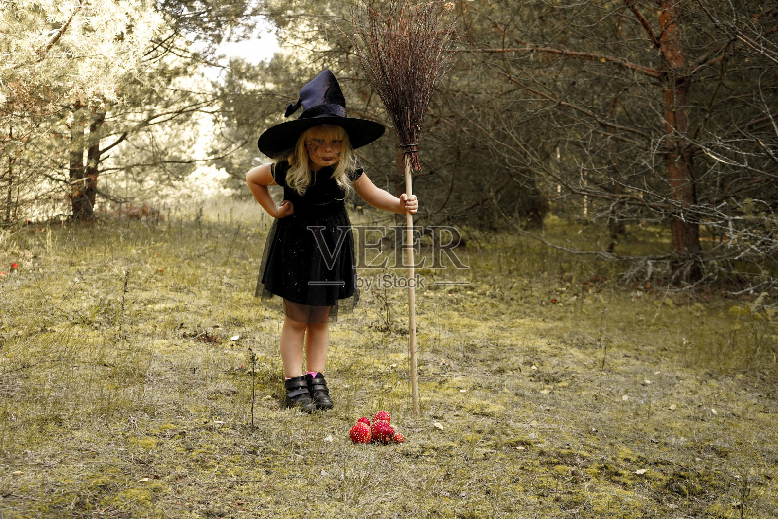 一个穿着女巫服装戴着黑帽子的女孩在森林里收集木耳来制作药水。魔法,万圣节。照片摄影图片