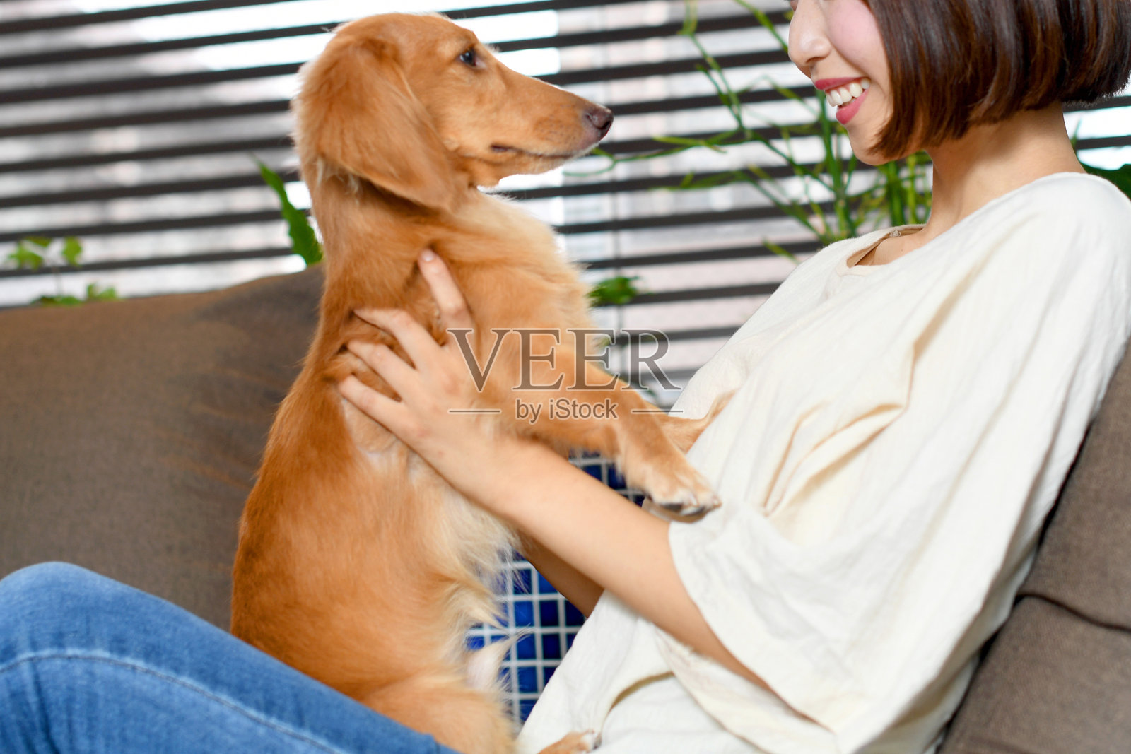 年轻的亚洲女子抱着宠物在室内照片摄影图片
