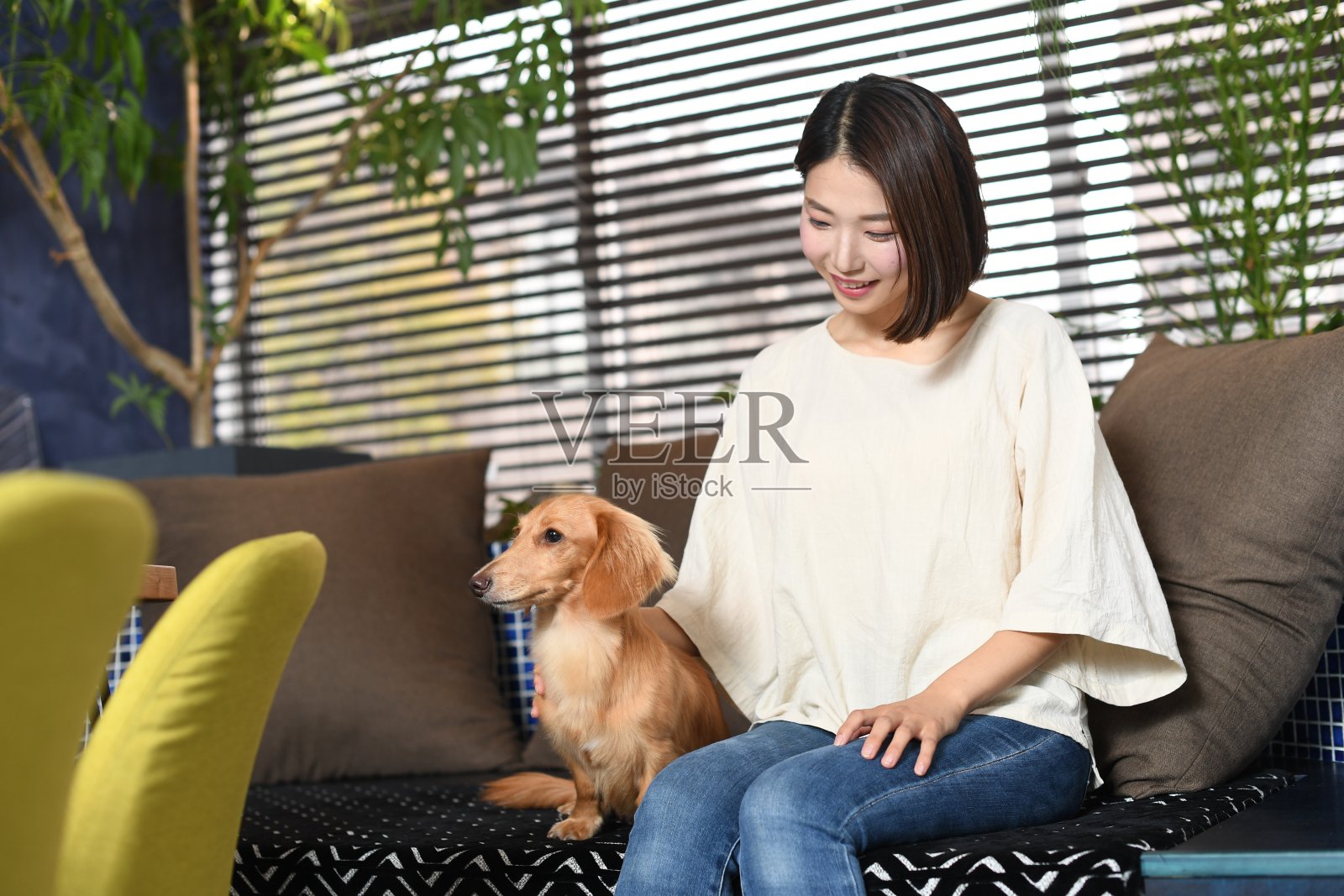 年轻的亚洲女子抱着宠物在室内照片摄影图片