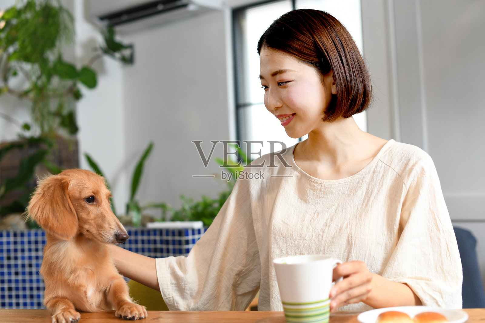 年轻的亚洲女子与狗交流照片摄影图片