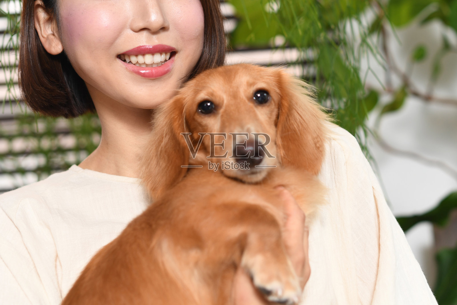 年轻的亚洲妇女抱着宠物(狗)在室内照片摄影图片