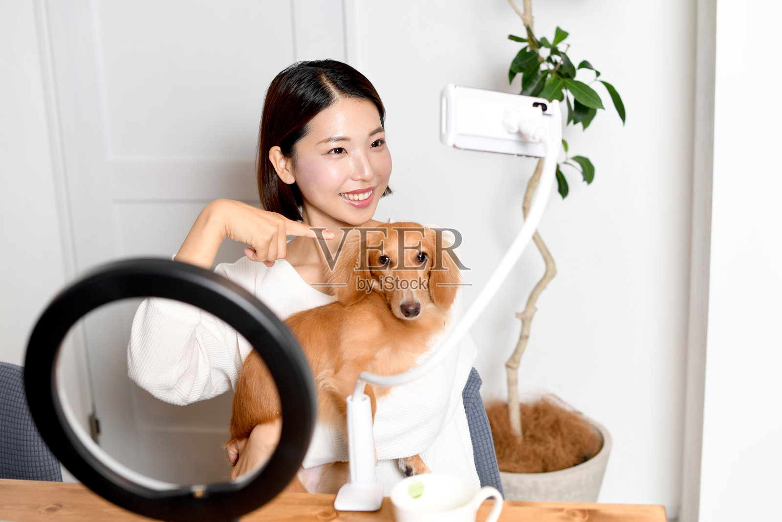 一位年轻的亚洲网红女士通过智能手机视频与她的宠物(狗)打招呼照片摄影图片