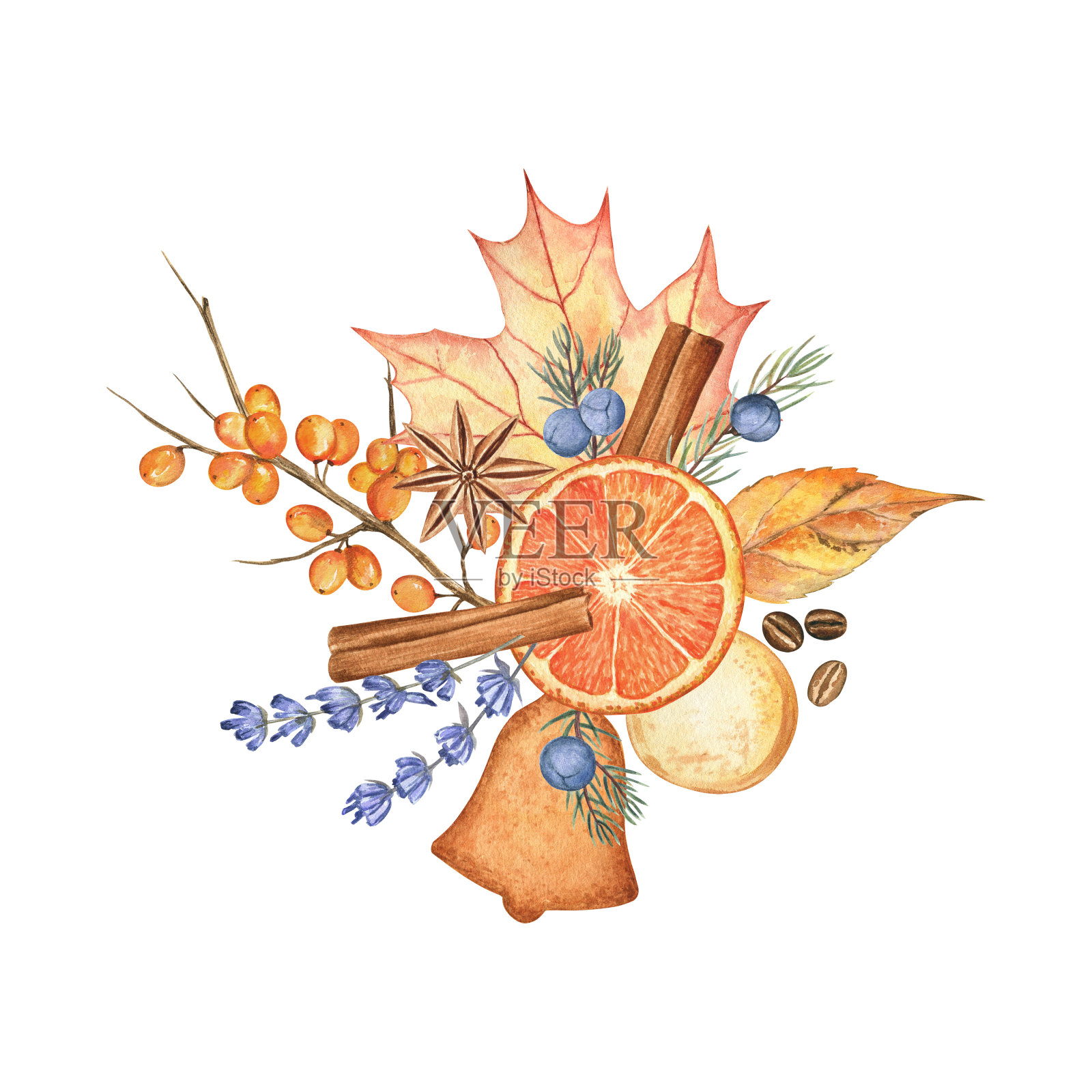 秋天的构图有橘子片，肉桂棒，薰衣草花，杜松，饼干，沙棘和叶子插画图片素材