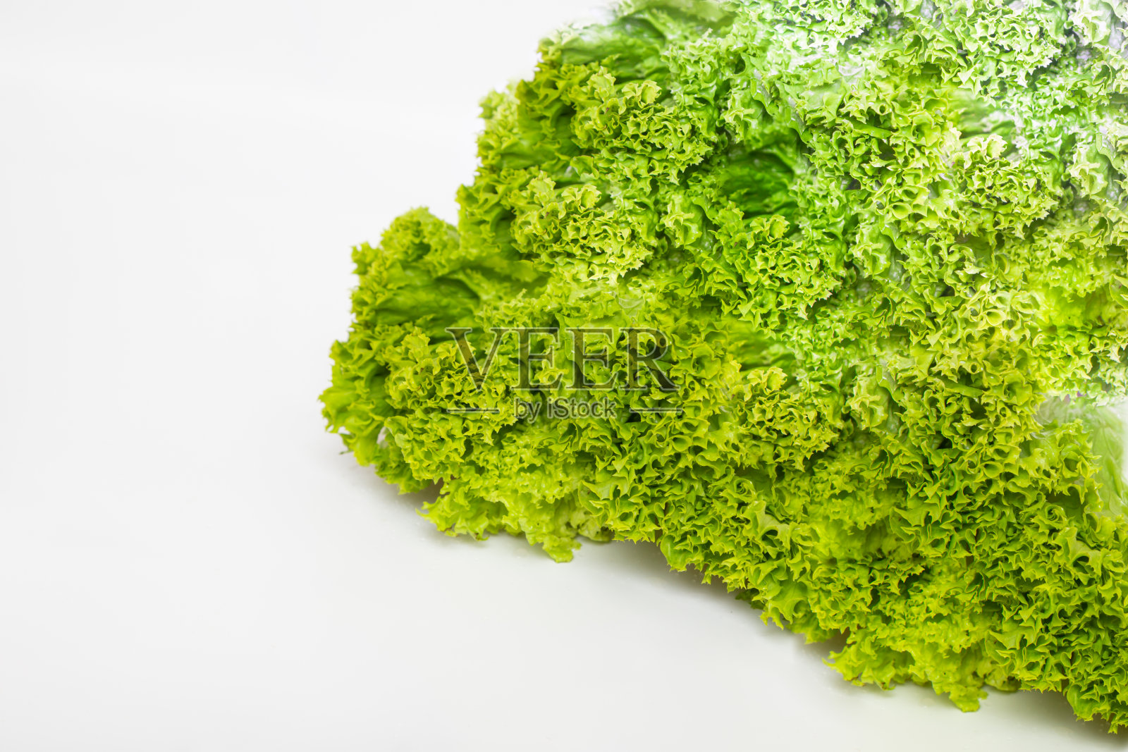 松软新鲜的绿叶生菜沙拉在白色的桌子上。副本的空间。照片摄影图片