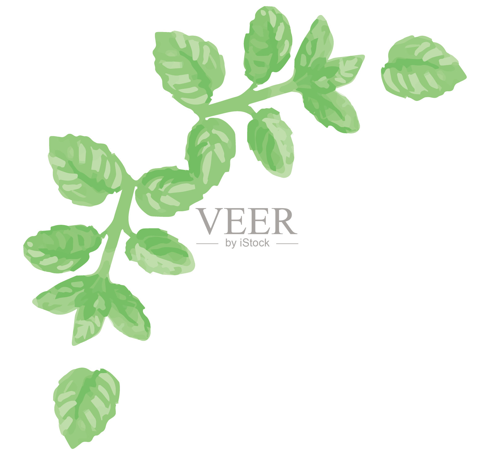 框角与水彩草药。矢量插图。插画图片素材