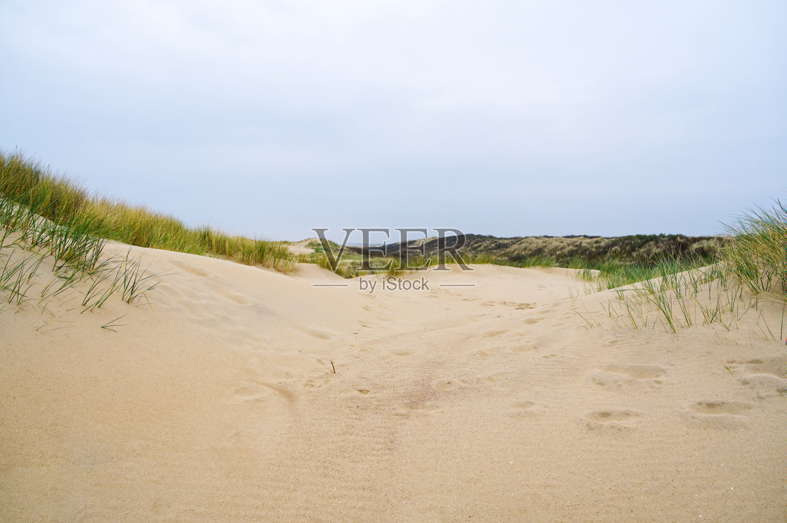 荷兰海岸线上的沙丘和空旷的海滩。荷兰阴天。照片摄影图片