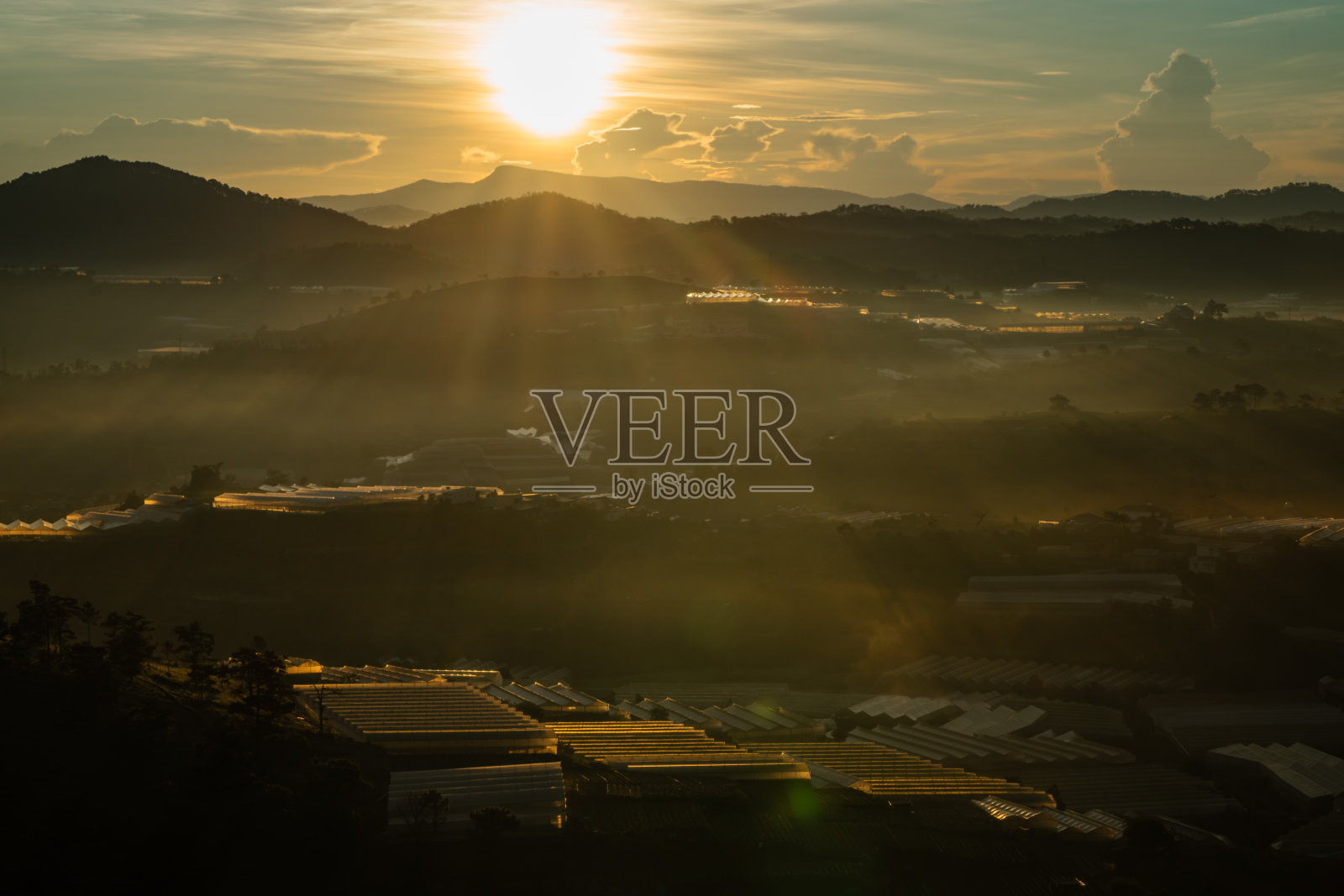 黎明时分，越南大叻大富山，一个阳光明媚的早晨，露珠和阳光洒满了整个山丘照片摄影图片