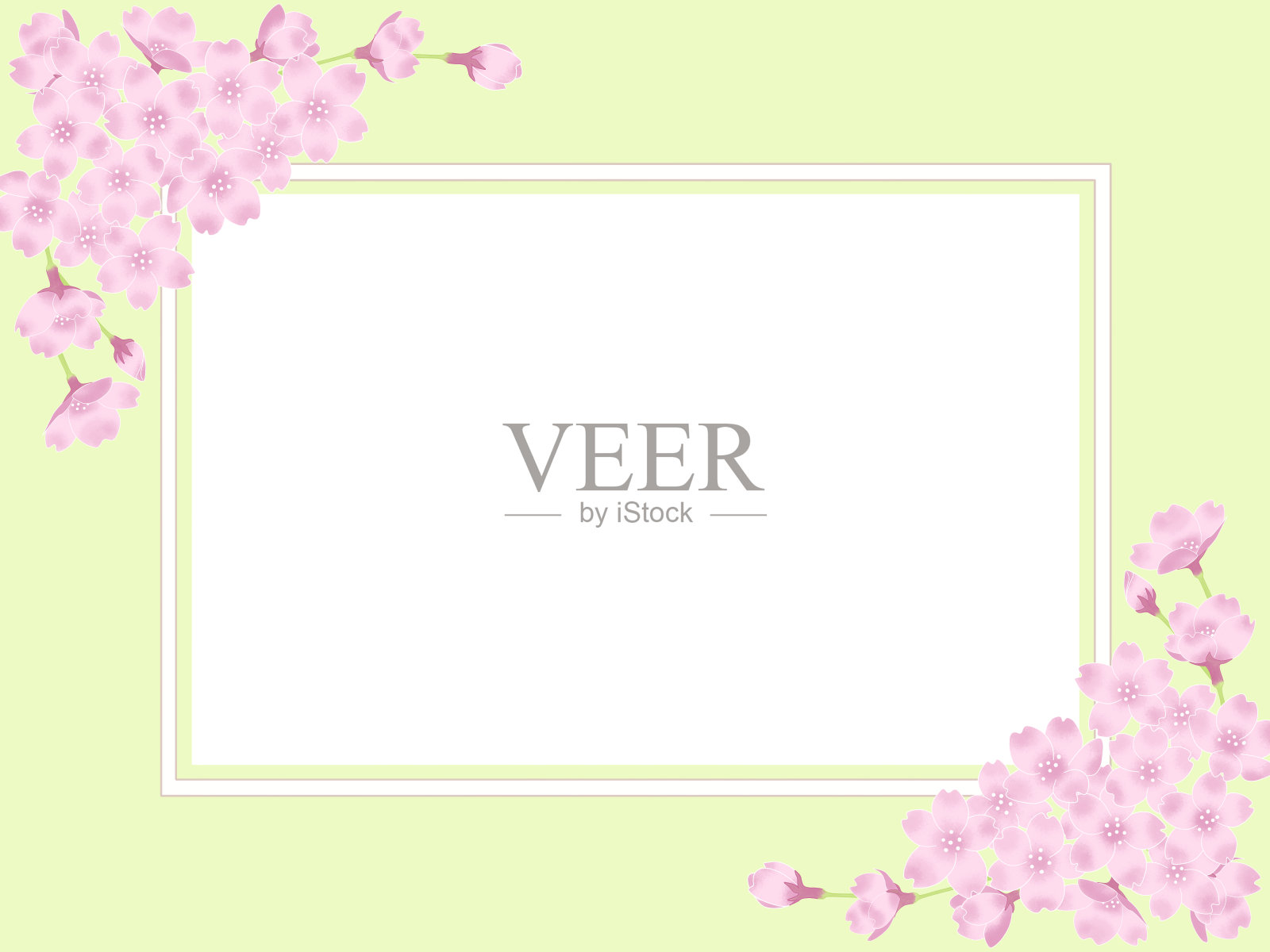 方形框架与樱花花瓣在黄绿色的背景插画图片素材