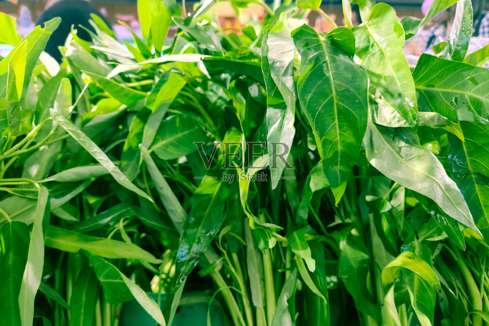 蔬菜和草药，一堆水菠菜在印尼新鲜市场。照片摄影图片