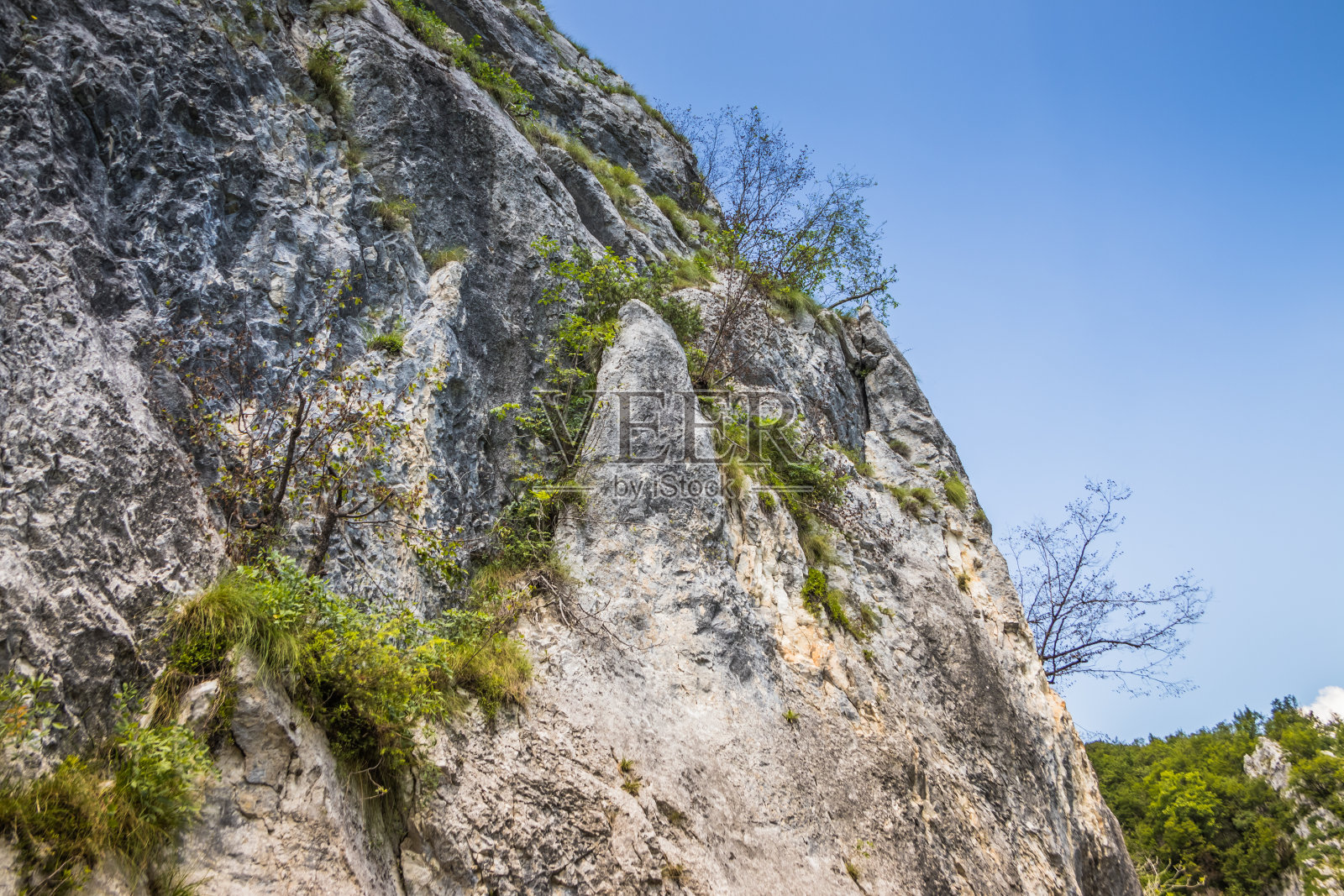 普利特维采湖上长满树木和草的岩石。岩石和绿树环绕着湖水碧蓝。克罗地亚普利特维采湖国家公园的壮丽景色照片摄影图片