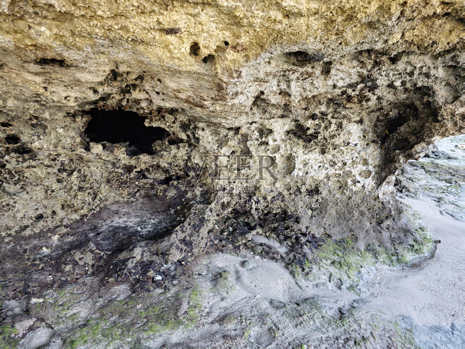 珊瑚岩石照片摄影图片