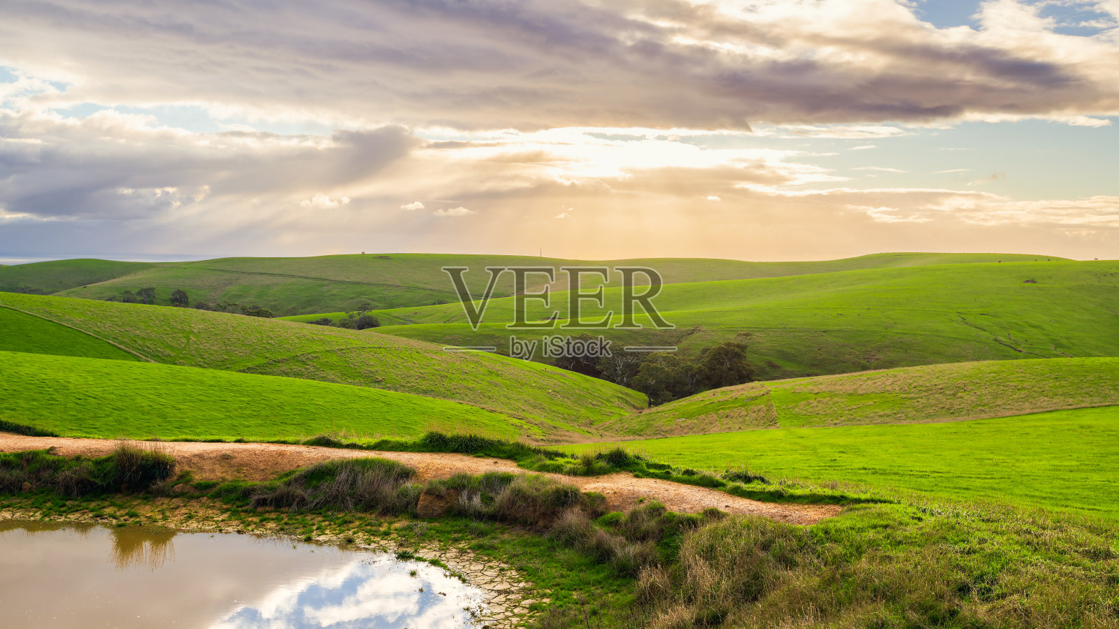 阿德莱德山的绿色农田在冬季照片摄影图片