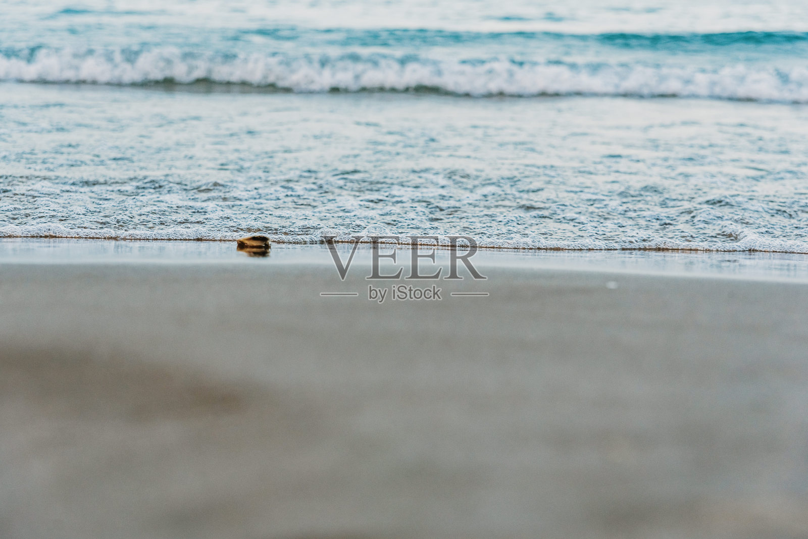 场景为背景，大海和被海浪打湿的沙滩。照片摄影图片