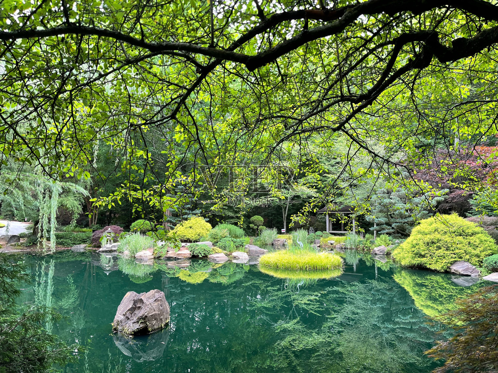 日本园林中的倒影照片摄影图片