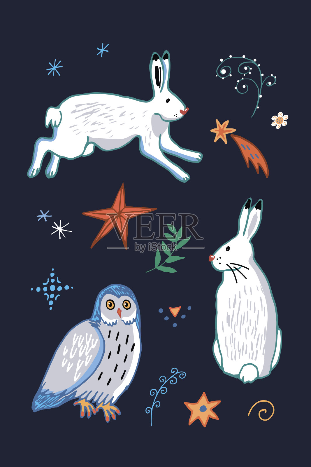 冬天的野兔和猫头鹰矢量插图明信片。插画图片素材