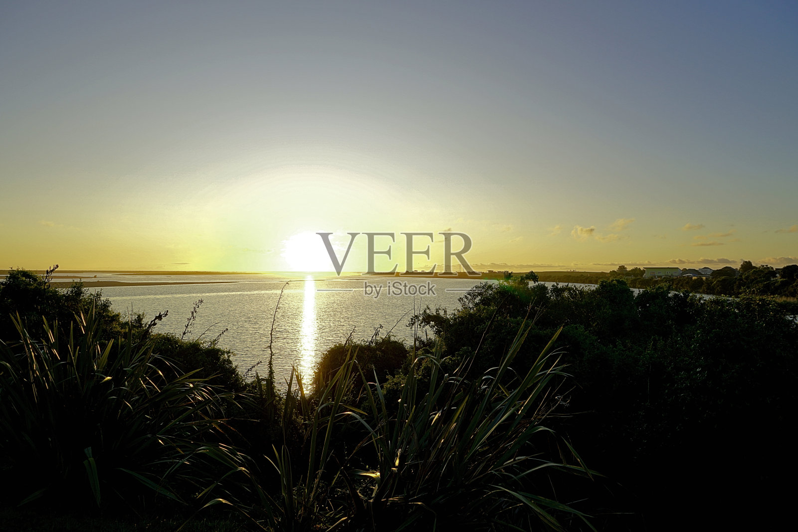 新西兰南岛照片摄影图片