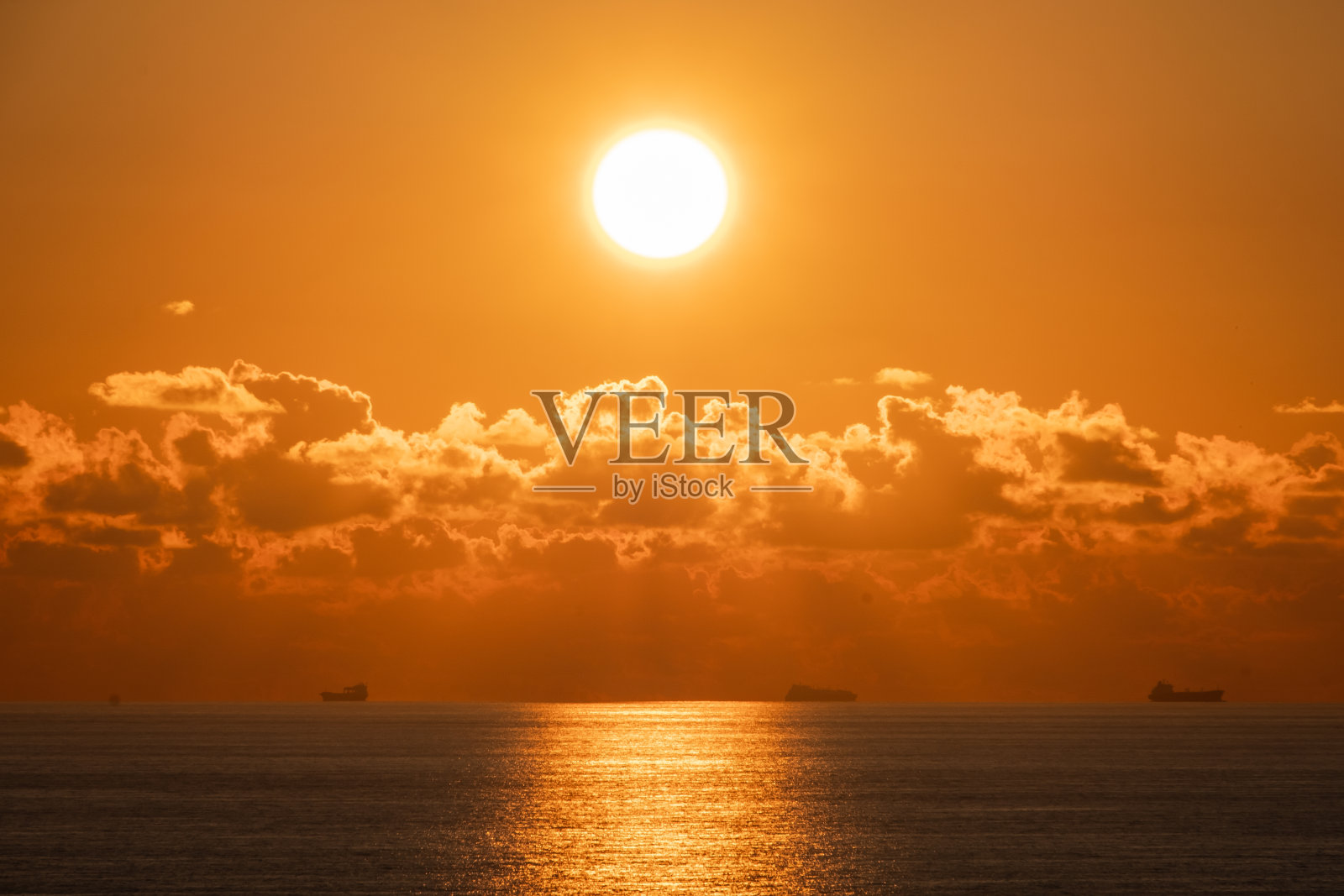 金色加勒比海照片摄影图片