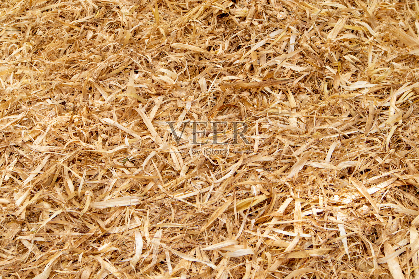 农业用玉米加工成颗粒后的外壳质地。背景。照片摄影图片