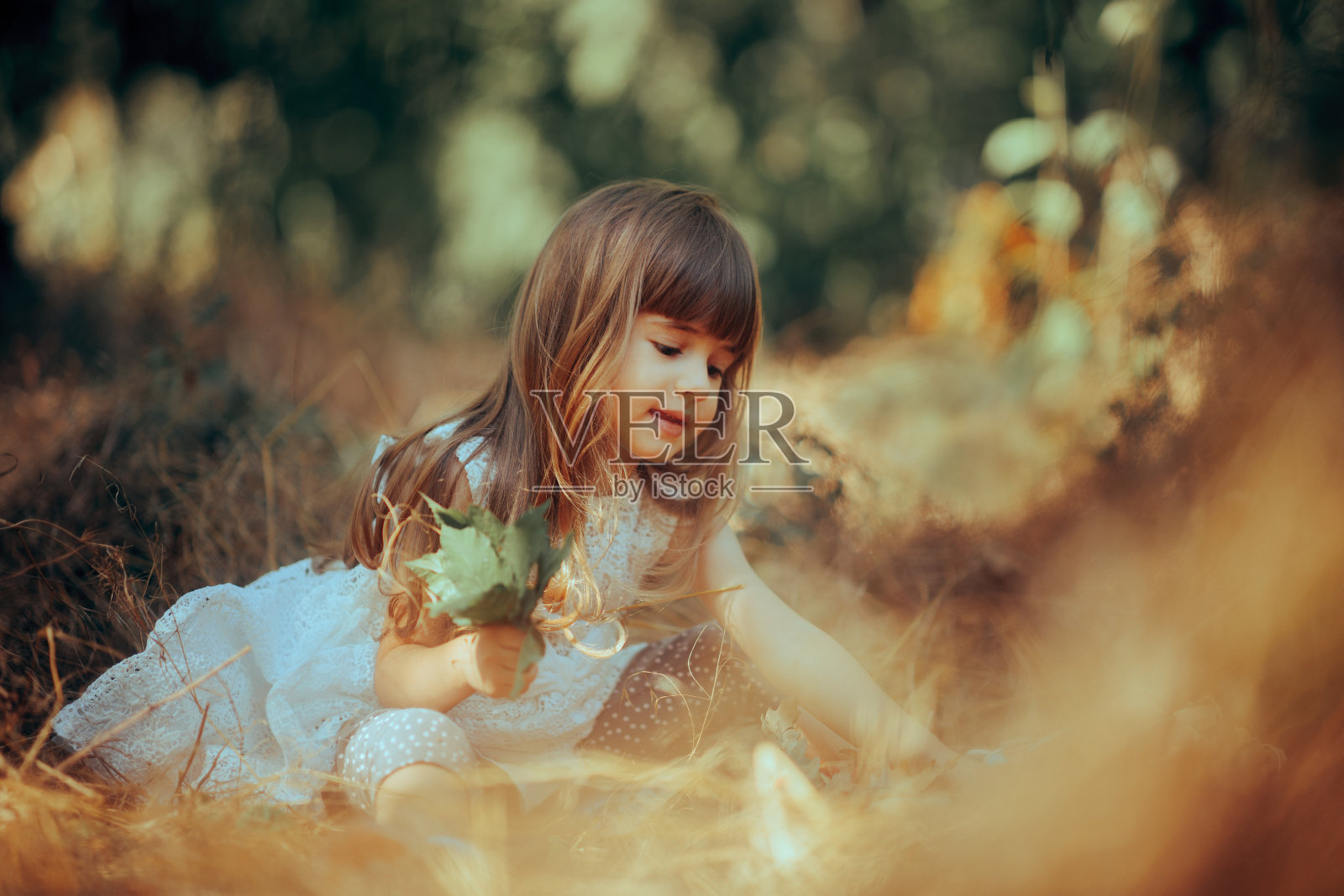 蹒跚学步的女孩在大自然中采摘树叶照片摄影图片