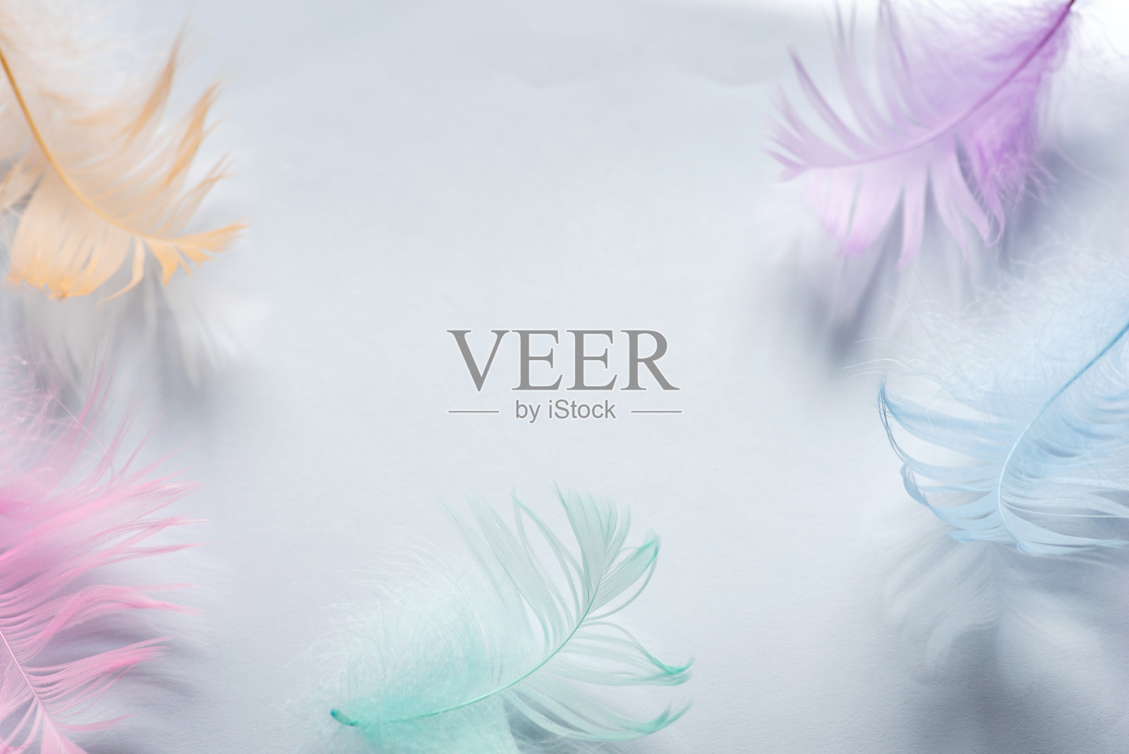 飘落的彩色装饰羽毛照片摄影图片