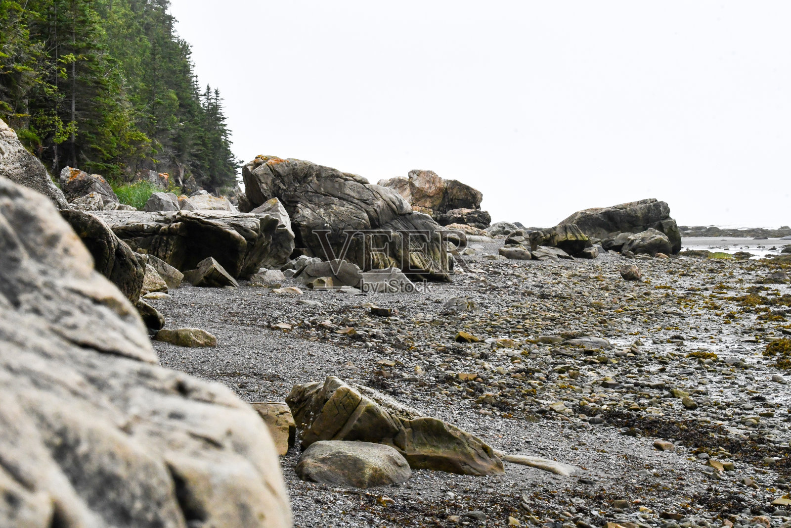 加拿大魁北克省Rimouski市圣劳伦斯河沿岸阴天的景色照片摄影图片
