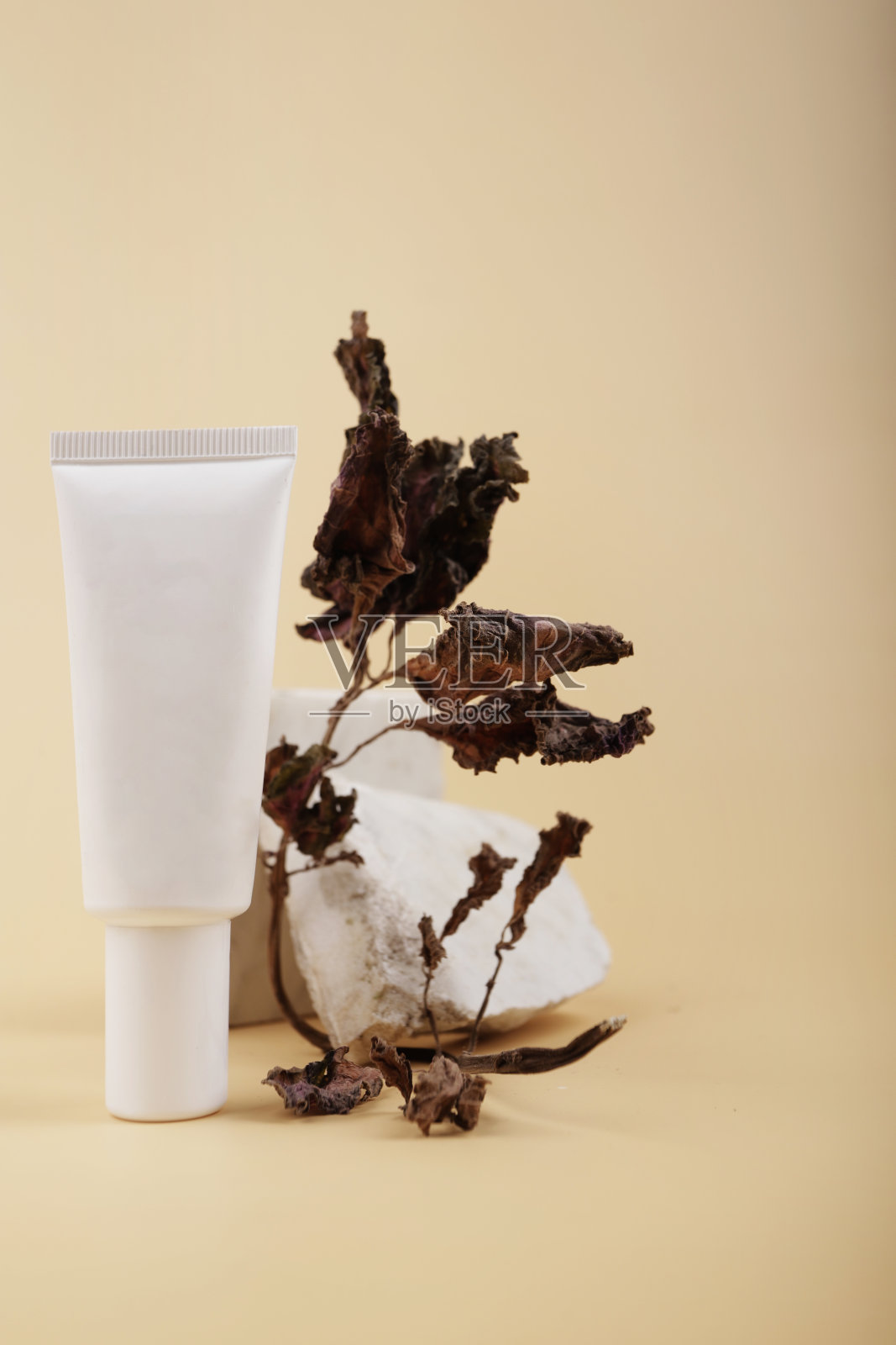 奶油容器旁边干银的静物画照片摄影图片